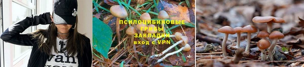 jwh Волосово