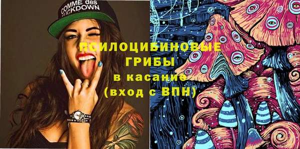 прущие грибы Вязники