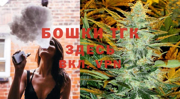 эйфоретик Вяземский