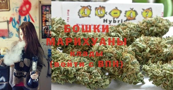 прущий лед Горняк