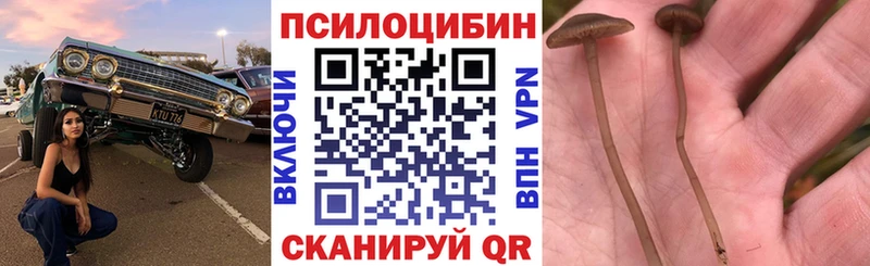 Псилоцибиновые грибы мухоморы  Давлеканово 
